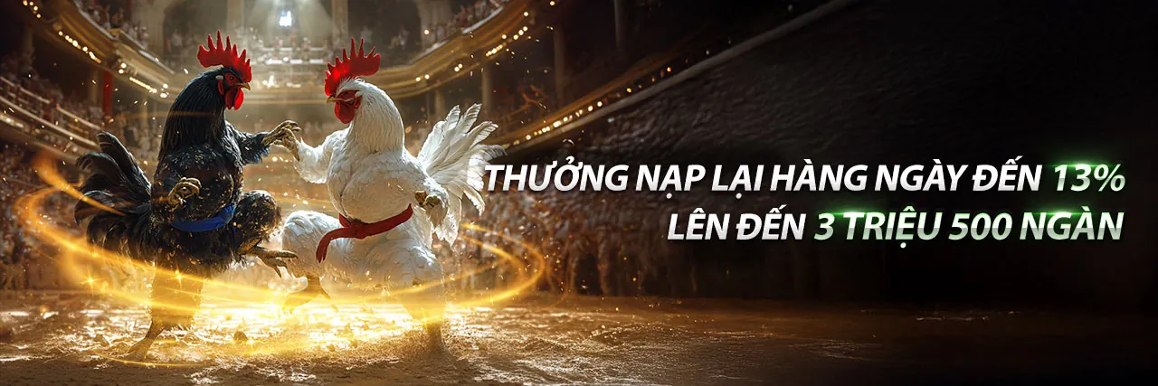 Đá Gà Trực Tuyến Hấp Dẫn tại nbet88